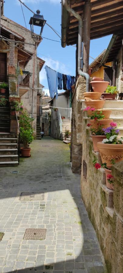 Apartmán La Chascona Di Farnese Casa Di Tufo Nel Borgo Exteriér fotografie