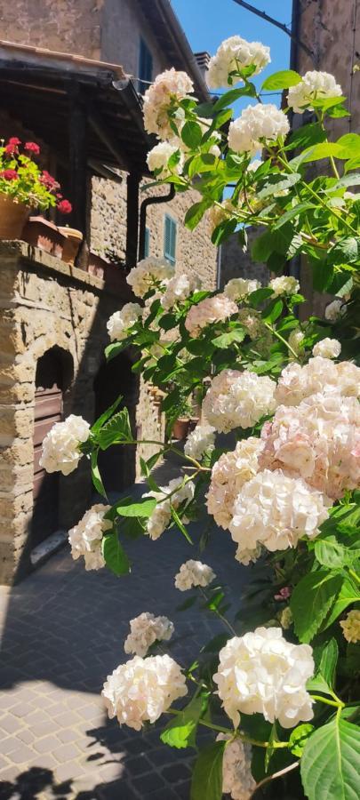 Apartmán La Chascona Di Farnese Casa Di Tufo Nel Borgo Exteriér fotografie
